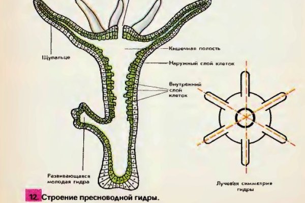 Как найти сайт кракен